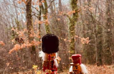 Arnaia Forest Villa - Photo 43