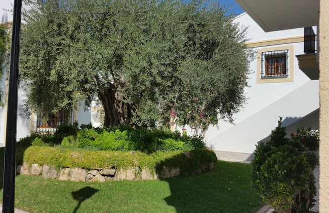 Apart. 1 linea de playa - Vera - Foto 24