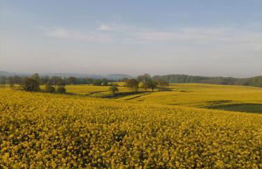 Ferienwohnung - Foto 39