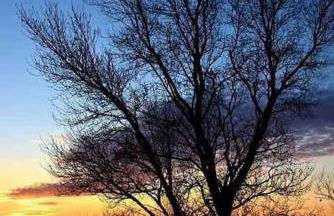 le meublé du pêcheur - Foto 36