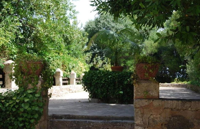 Finca Son Vivot - Photo 50