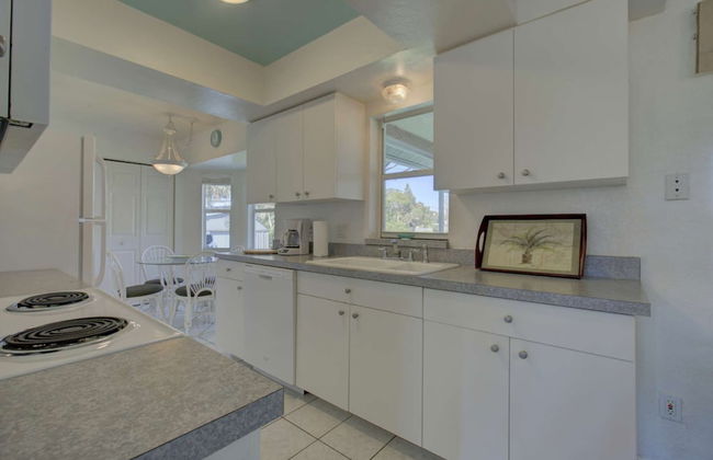 Smiling Dolphin - Foto 7