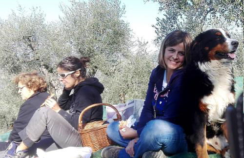 La Fornella dell'Anita - Foto 36