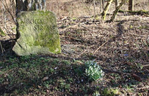 Haus Hirtenbergblick - Foto 24