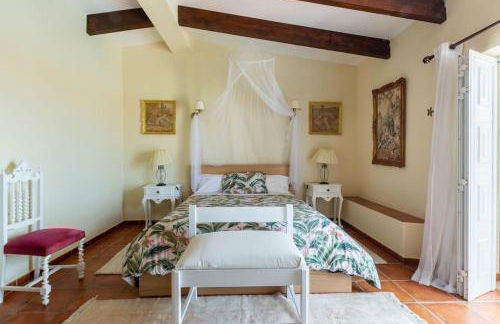 Monte Velho - Foto 30