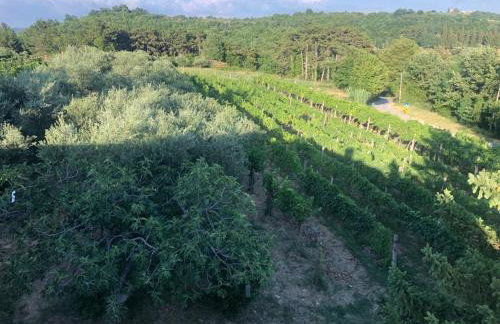 Apartman Villa Romana - Foto 19