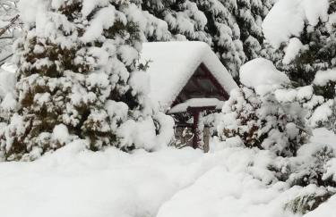 Agroturystyka u Miłosza - Foto 12