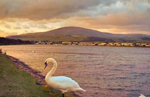 Combe-n-Sea - Foto 29