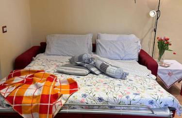 i tulipani - Foto 53