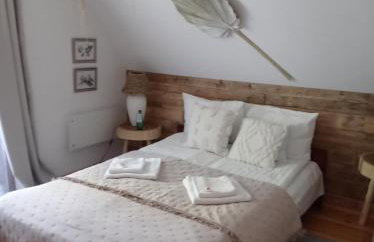 Siedlisko Gruszki Puszcza Białowieska - Foto 19