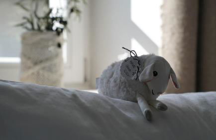 WASCHHAUS - Ferienhaus in Grassau im Chiemgau - Foto 5