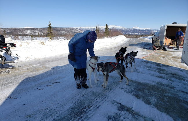 Denali Wild Stay - Foto 63