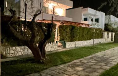 Villa Diamante - Foto 44