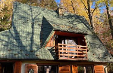 Domek w Lesie - Foto 1