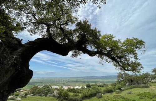 El Rincón de Manoli - Foto 27
