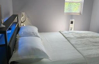 Alvin with all serenity and bliss and yet close dearly - Foto 10