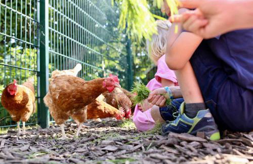 Bauernhof Wulff - Fewo "Föhr" - Foto 42