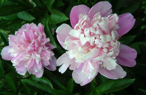 Haus-Auetal - Photo 28