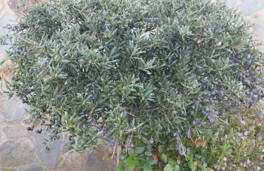 Casa Rural Vista Bella - Photo 21