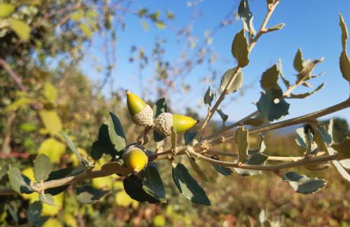 Casa Cristina - Foto 24