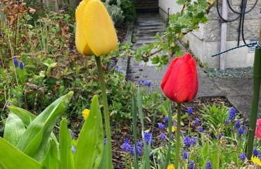 3-Bedroom Eco-house with EV charger. - Foto 8