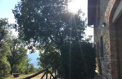 Agriturismo Santa Rosa - Foto 30