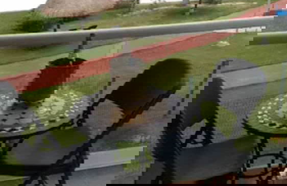 Dreams Lagoon Cancun - Photo 33