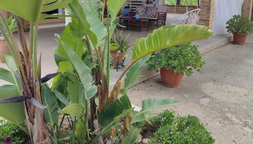 Dimora Virone Paradiso - Foto 2