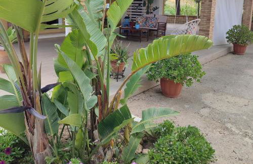 Dimora Virone Paradiso - Foto 2