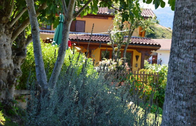 Gailurretan - Photo 52