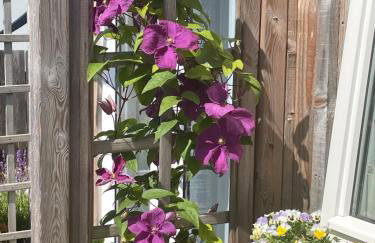 Courtyard Bothy - Foto 26