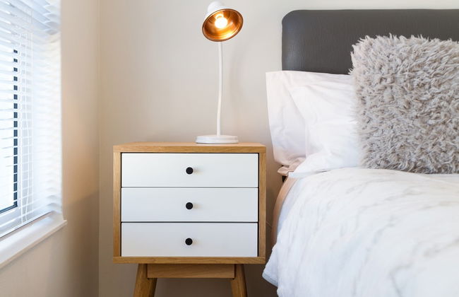 WINK Quiver Tree - Foto 5