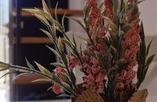 Casa natura - Olib, gem of islands - Photo 23