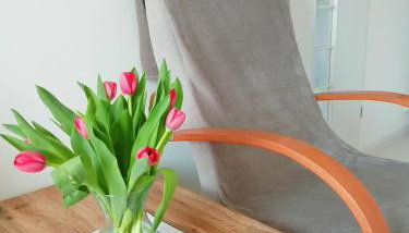 Noclegi, Słoneczne Mieszkanie we Lwówku Śląskim - Foto 5