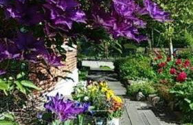 FW Einfeldt - Foto 11