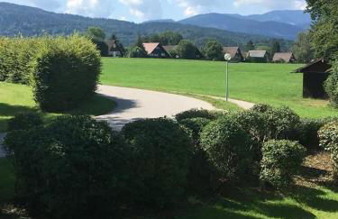 Gemütliche Ferienwohnung Vorauf Siegsdorf Ruhige Lage - Foto 9