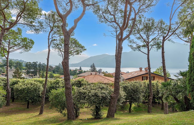 Brentano Elegante - Photo 14