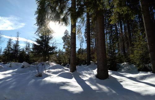 Ferienhaus Schachtenbach - Foto 22