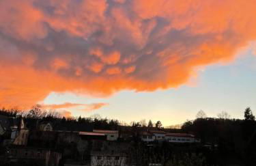 Ferienwohnung Bernhardsteinblick - Photo 21