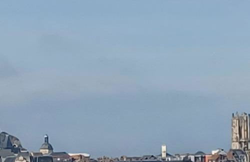 Bleu d'Arques Appartement lumineux et calme - Foto 28