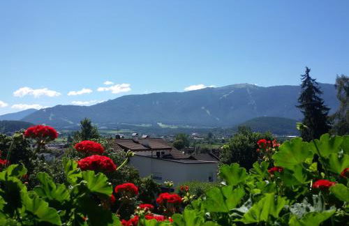 App. Tamanhof - Photo 20