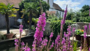 Spatzennest und Rabennest - Foto 3