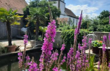 Spatzennest und Rabennest - Foto 3