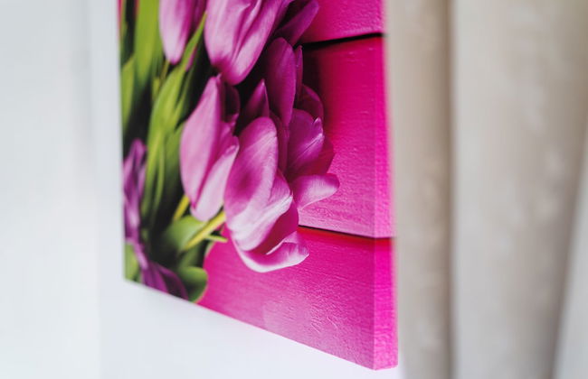 Lemon Factor Sorrento - Photo 9