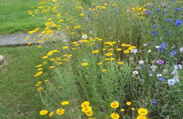 Schöne Aussicht - Foto 13