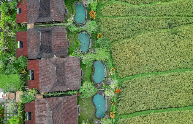 Wooden Ganeca Villas by GenuineHost - Foto 37