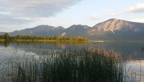 Aparthotel Alpenpark - Foto 2