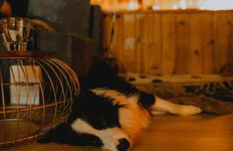 Kaszubskie Letnisko - Foto 13