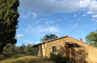 Podere Pruneto - Foto 11