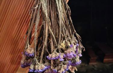 Sielanka, wyjątkowy dom, jacuzzi - Foto 43